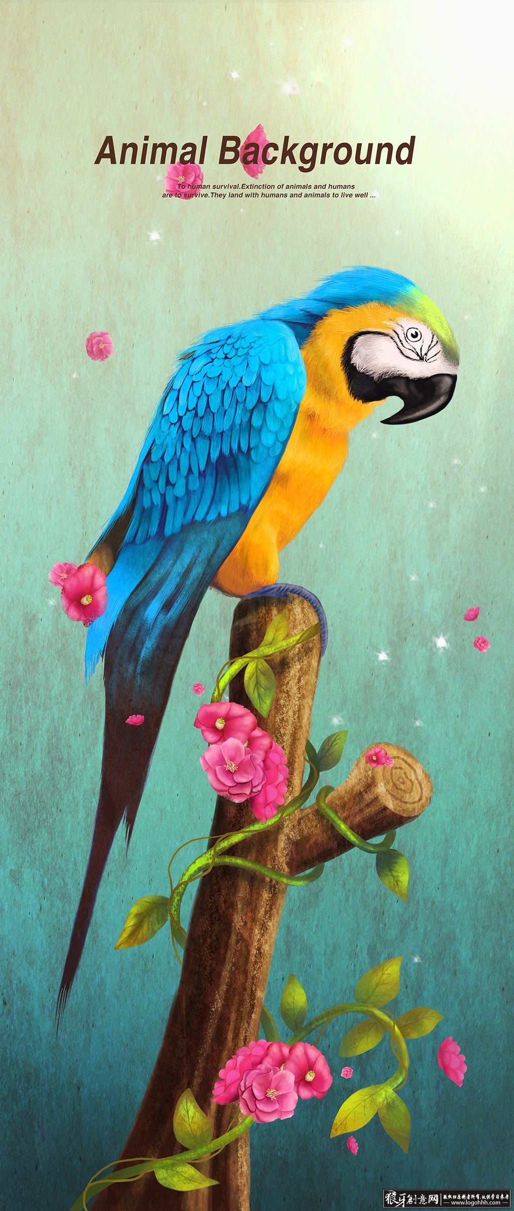 鹦鹉插画背景psd 手绘 时尚海报背景 卡片边框邀请函
